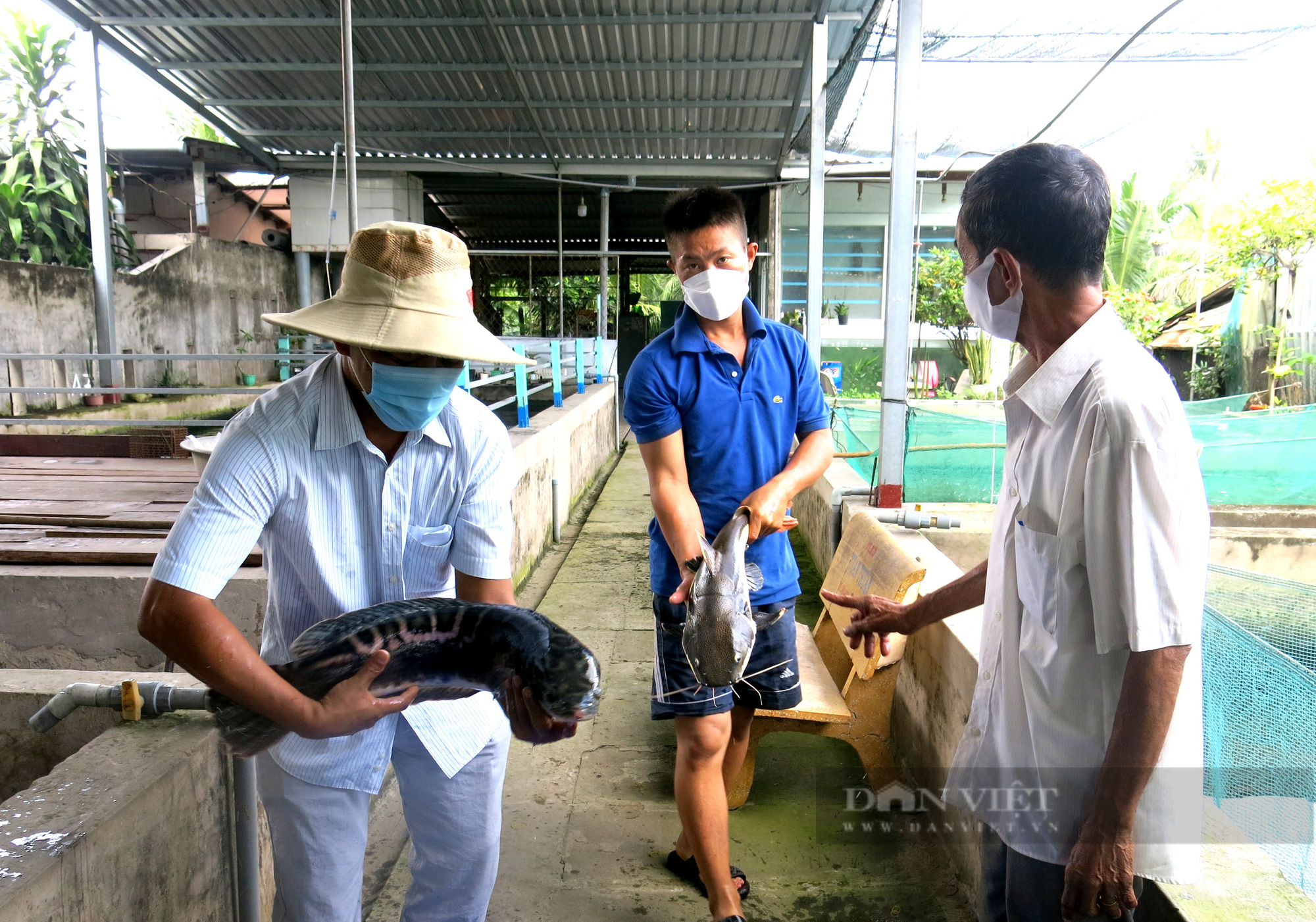 Nông dân xuất sắc Việt Nam 2021: Ông nông dân “Thủ phủ trái cây” ương cá giống kiếm tiền tỷ mỗi năm - Ảnh 2.