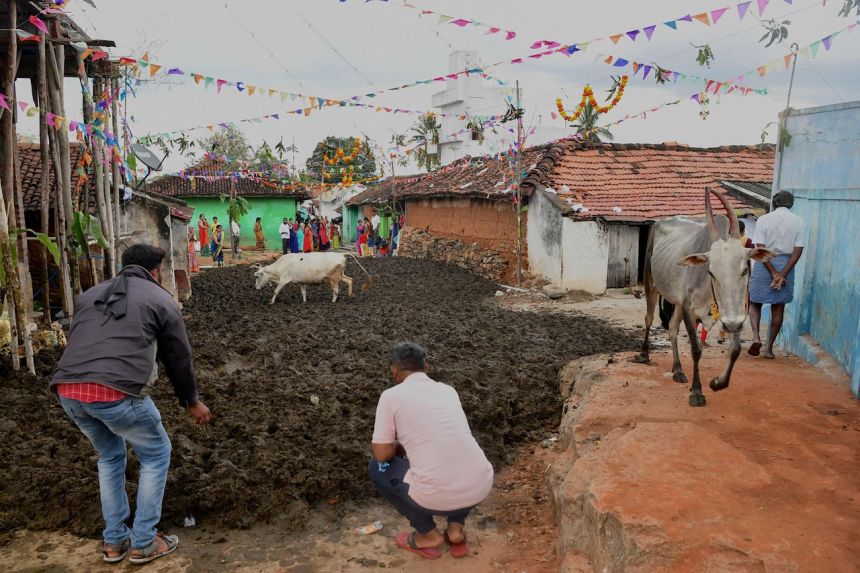 Độc đáo lễ hội ném phân bò ở Ấn Độ - Ảnh 1.