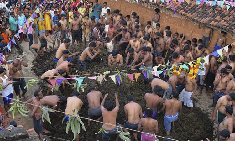 Độc đáo lễ hội ném phân bò ở Ấn Độ - Ảnh 2.