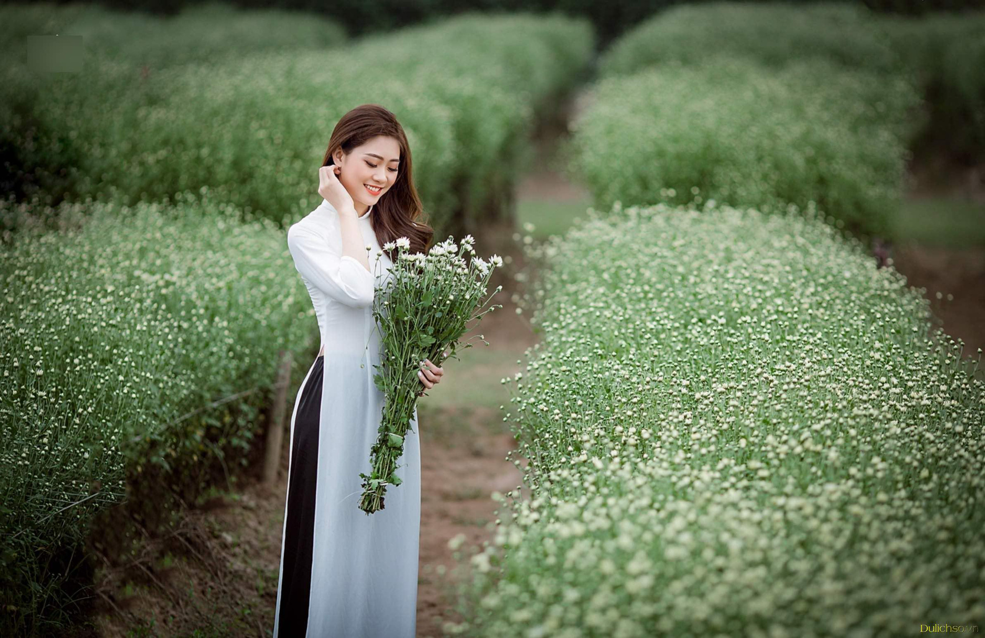 HOA CÚC HOẠ MI TRONG NGÀY CƯỚI - GIẢN DỊ VÀ CHÂN THÀNH - VÁY CƯỚI CAO CẤP  LINH NGA BRIDAL