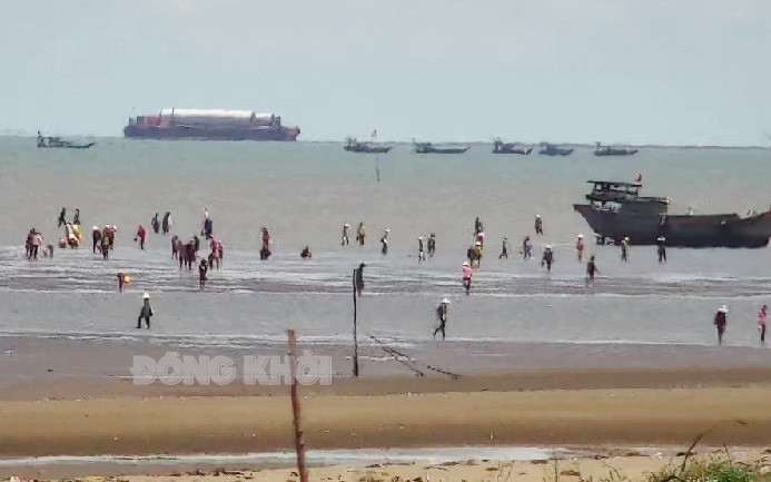 Dân xã này của tỉnh Bến Tre ra bãi biển bắt con gì đem bán, chỉ trong tháng 11 đã thu về hơn 27 tỷ?