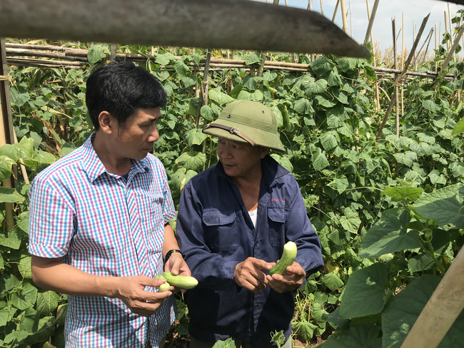 đào tạo nghề cho lao động nông thôn 