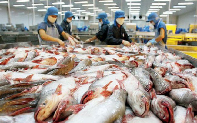 Xuất khẩu cá tra năm 2021 có thể đạt 1,54 tỷ USD - Ảnh 1.