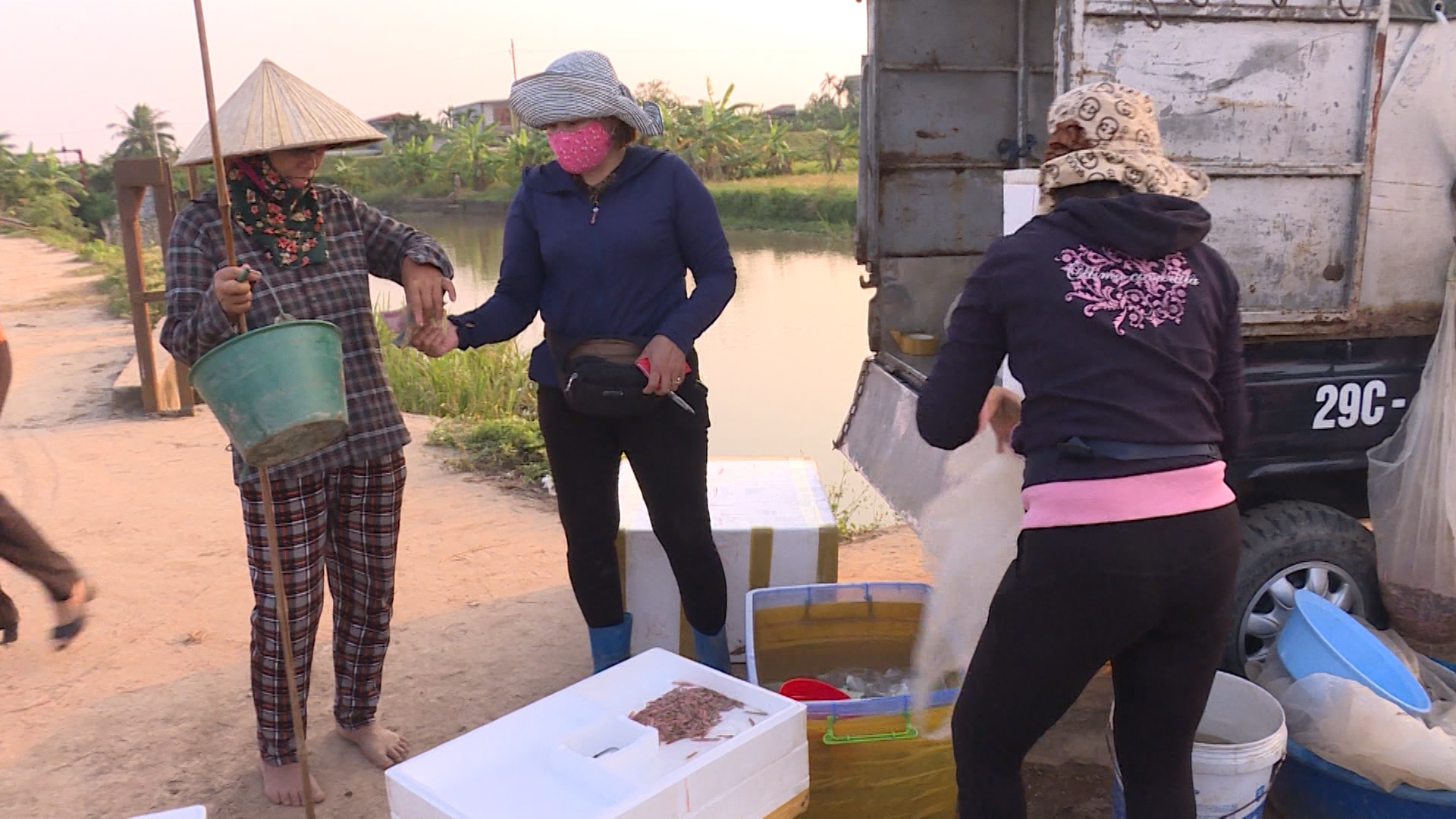 Thái Bình: Cả làng rủ nhau ra &quot;đồng không mông quạnh&quot; bắt &quot;con lộc trời&quot; đặc sản, thương lái tranh nhau mua - Ảnh 6.