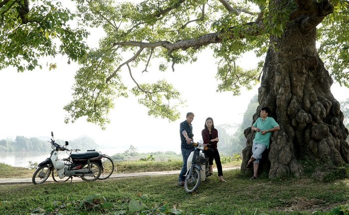 Biên kịch Trịnh Khánh Hà: Dù &quot;bê tông hóa&quot; thế nào thành thị và nông thôn vẫn khác nhau - Ảnh 2.