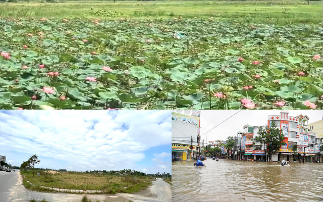 Quảng Ngãi: Dự án khu dân cư vô tư “nuốt” ao, hồ vì Luật Tài nguyên nước bị quên 
