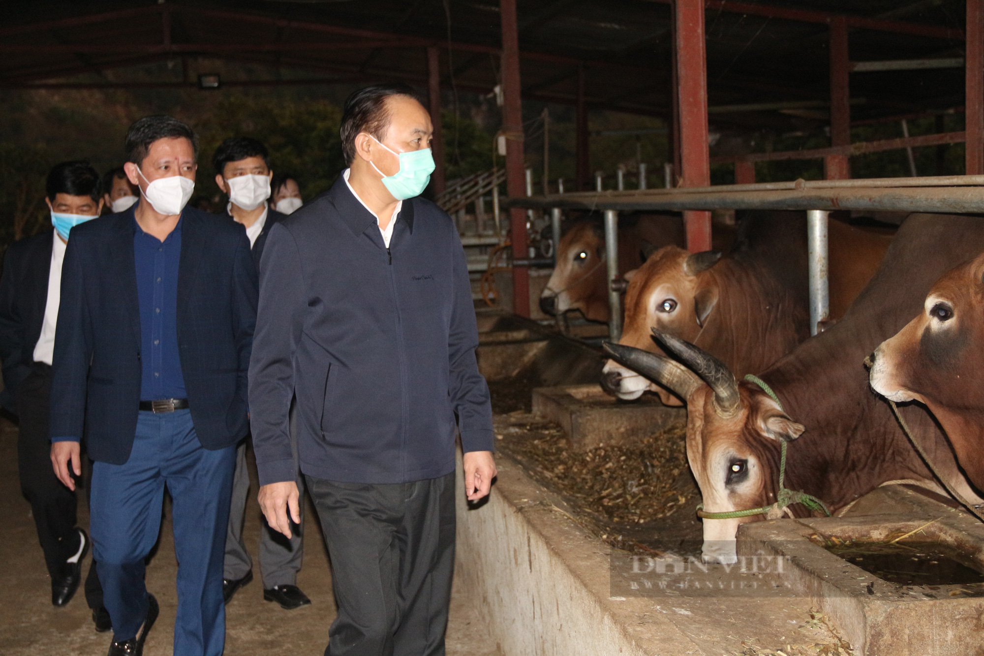 Sơn La cần có chương trình, chính sách khuyến khích phát triển chăn nuôi - Ảnh 3.