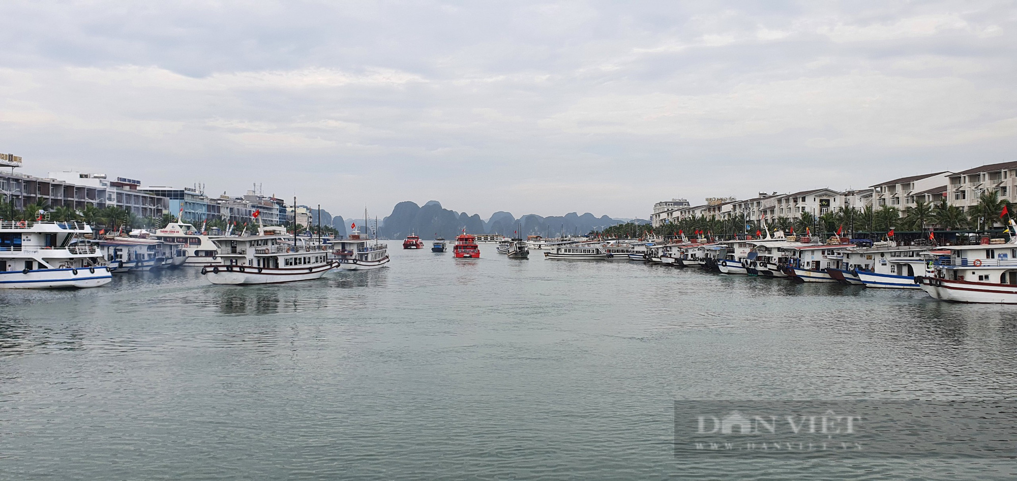 Quảng Ninh đã làm gì để đón đoàn khách quốc tế đầu tiên trong tháng 1/2022? - Ảnh 3.