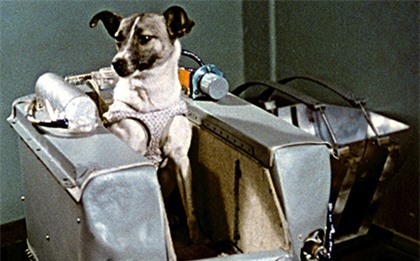 Laika - chú chó đầu tiên bay vào vũ trụ và cái kết “đã định trước”  - Ảnh 2.
