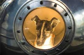 Laika - chú chó đầu tiên bay vào vũ trụ và cái kết “đã định trước”  - Ảnh 3.