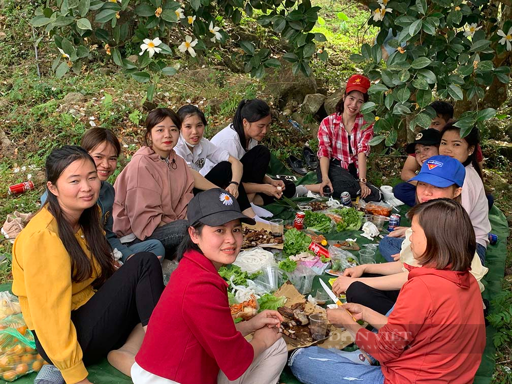 Mê mẩn màu trắng tinh khôi hoa Sở và “Sống lưng khủng long” ở Bình Liêu - Ảnh 3.