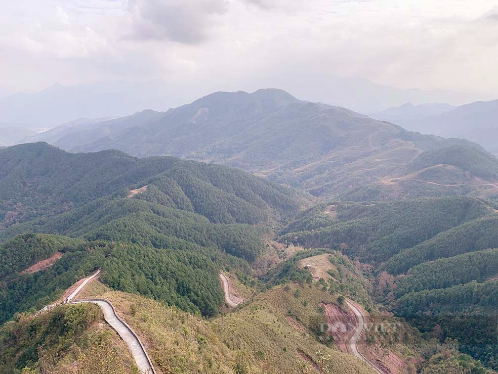 Mê mẩn màu trắng tinh khôi hoa Sở và “Sống lưng khủng long” ở Bình Liêu - Ảnh 8.