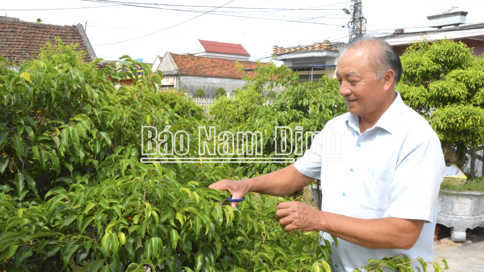 Nam Định: Vùng đất có những nơi cả làng trồng cây cảnh, trồng cây cảnh, có vườn cây cảnh 80 tỷ - Ảnh 1.