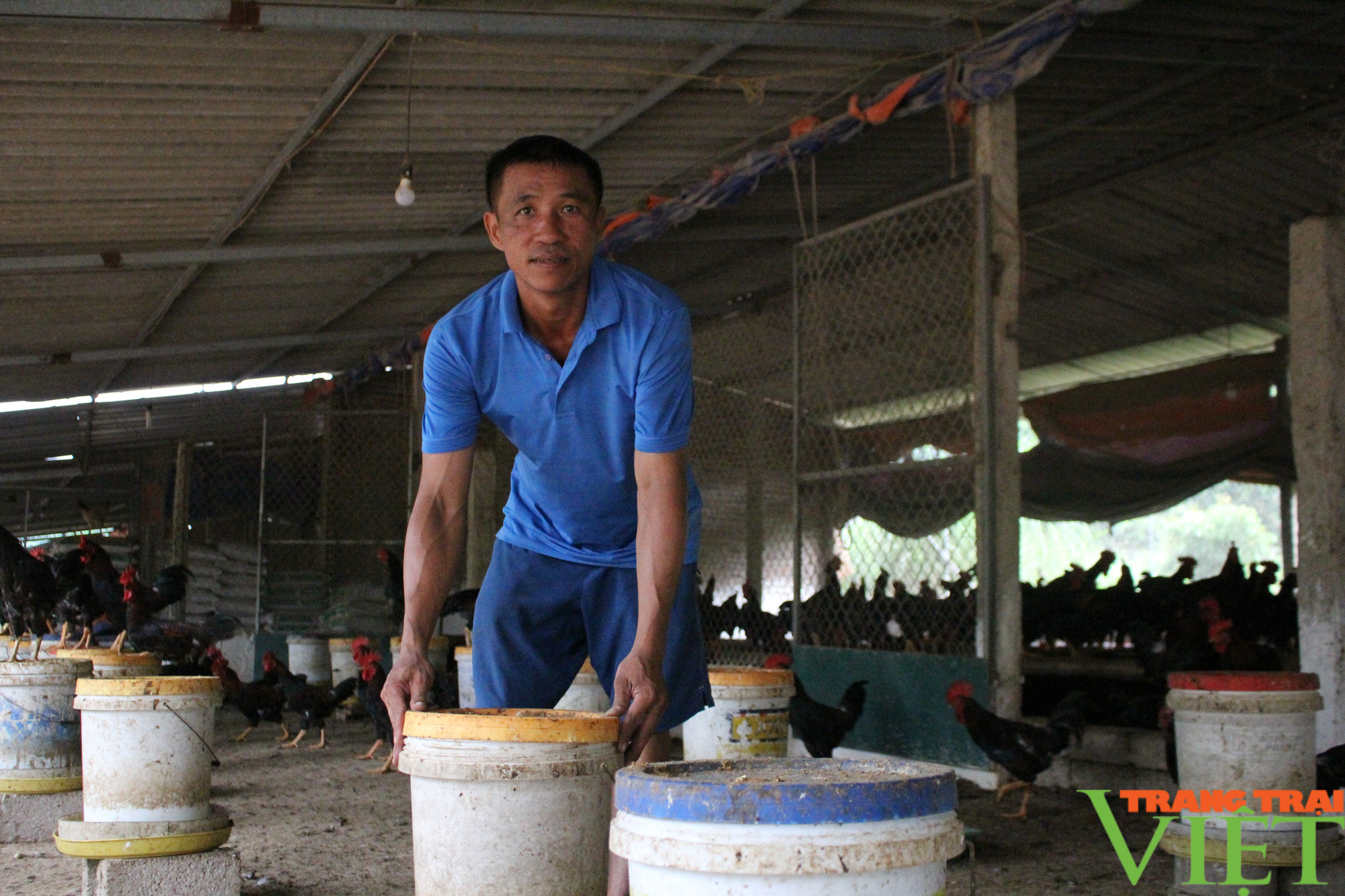 Hà Nội: Nuôi 3 vạn gà Mía đặc sản, bán 14 lứa/năm, một anh nông dân huyện Ba Vì thu tiền tỷ - Ảnh 3.
