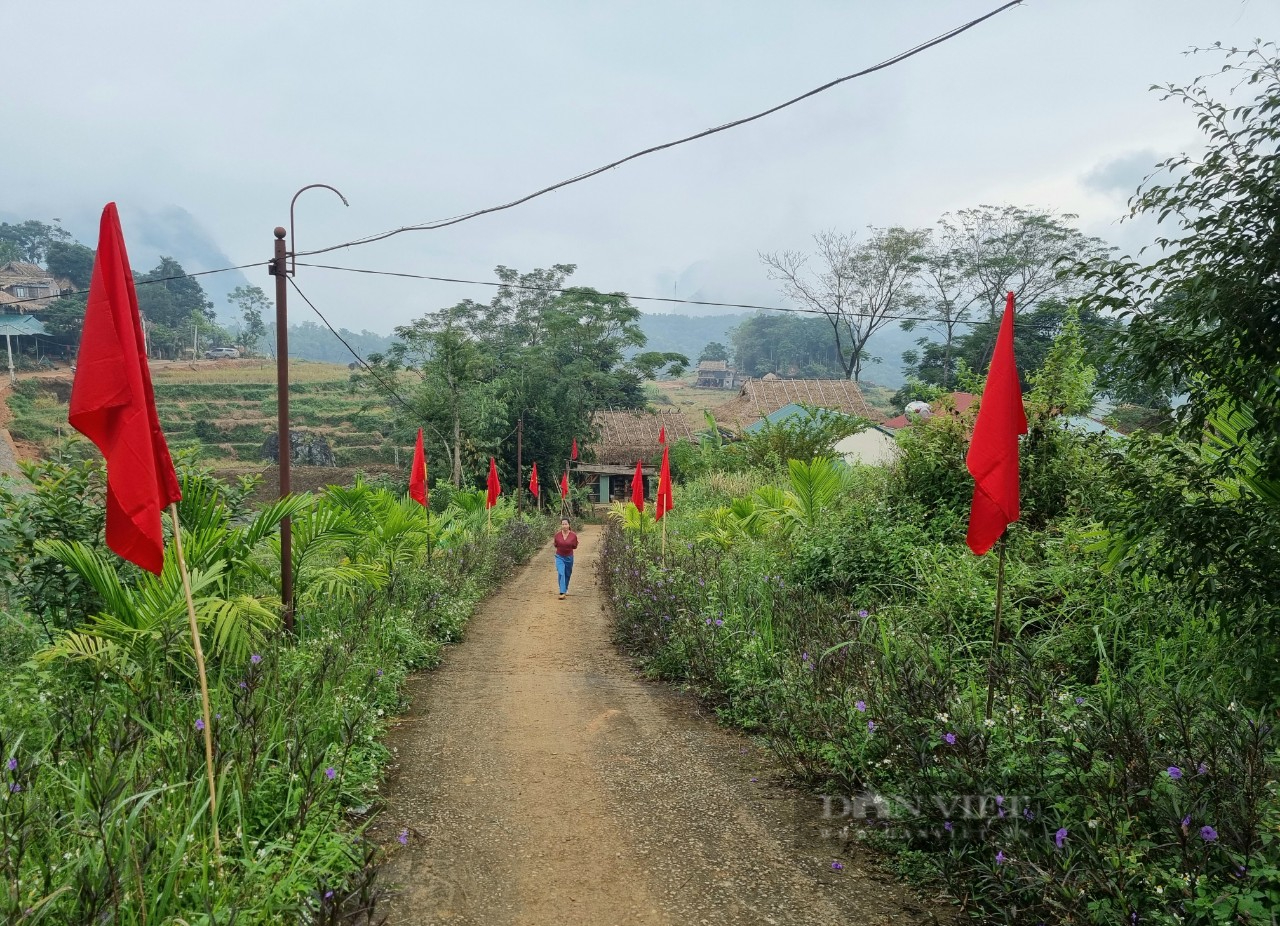 Bản Đôn vắng khách tham quan do dịch Covid-19 - Ảnh 4.