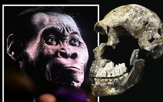 Các nhà khoa học choáng váng khi tìm thấy một bộ xương người 250.000 năm tuổi trong hang động