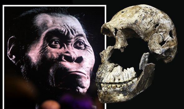 Các nhà khoa học choáng váng khi tìm thấy một bộ xương người 250.000 năm tuổi trong hang động - Ảnh 1.