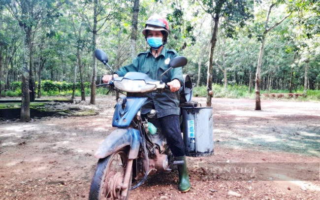 Không chỉ thị trường Trung Quốc, điều này gây lo ngại cho giá cao su của Việt Nam tới đây - Ảnh 4.