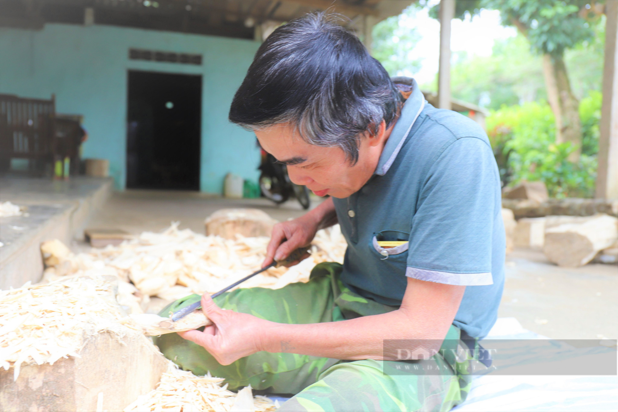 Người dân miền núi Hà Tĩnh thi nhau đẽo phá cây gió trầm, thu về hàng chục tỷ đồng/năm - Ảnh 5.