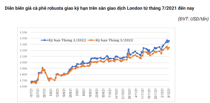 Sản lượng cà phê vụ mới giảm 15%, giá cà phê có thể quay được về thời hoàng kim? - Ảnh 1.