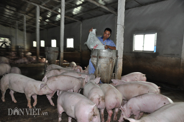 Sắp áp thuế cao đối với thịt lợn, Việt Nam lo nhập khẩu thịt của Trung Quốc sắp tới sẽ thế nào? - Ảnh 2.