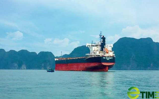 Tập đoàn của tỷ phú Trần Đình Long mua thêm tàu vận tải biển “khủng”  - Ảnh 1.
