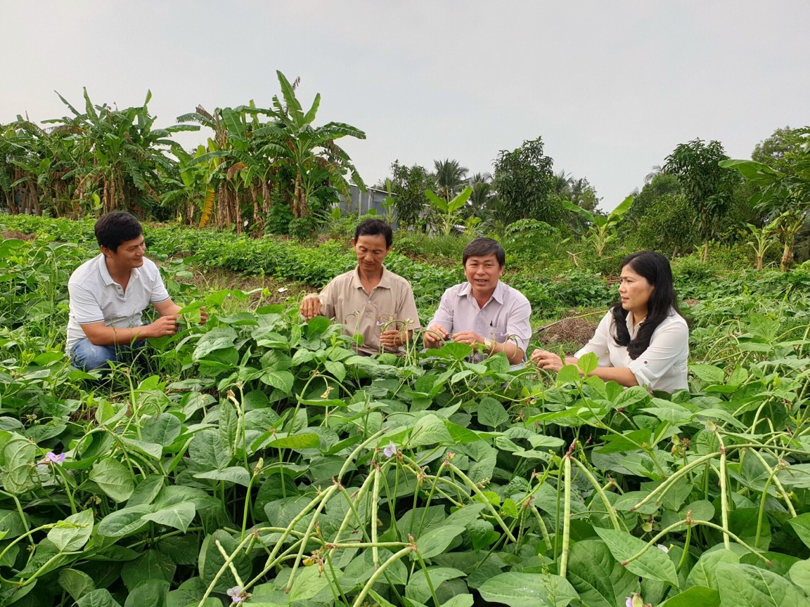 Hội Nông dân TP Cần Thơ: Tập trung hỗ trợ nông dân tiêu thụ nông sản, nhất là hoa kiểng Tết - Ảnh 1.