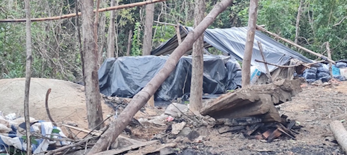 Đắk Lắk: 3 lò than xuất hiện trên đất rừng do Công ty TNHH MTV Lâm nghiệp Chư Phả quản lý - Ảnh 1.