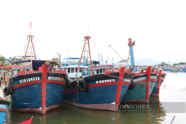Ninh Thuận: Cấm tàu thuyền ra khơi để phòng chống bão - Ảnh 2.