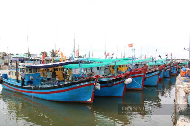 Ninh Thuận: Cấm tàu thuyền ra khơi để phòng chống bão - Ảnh 1.