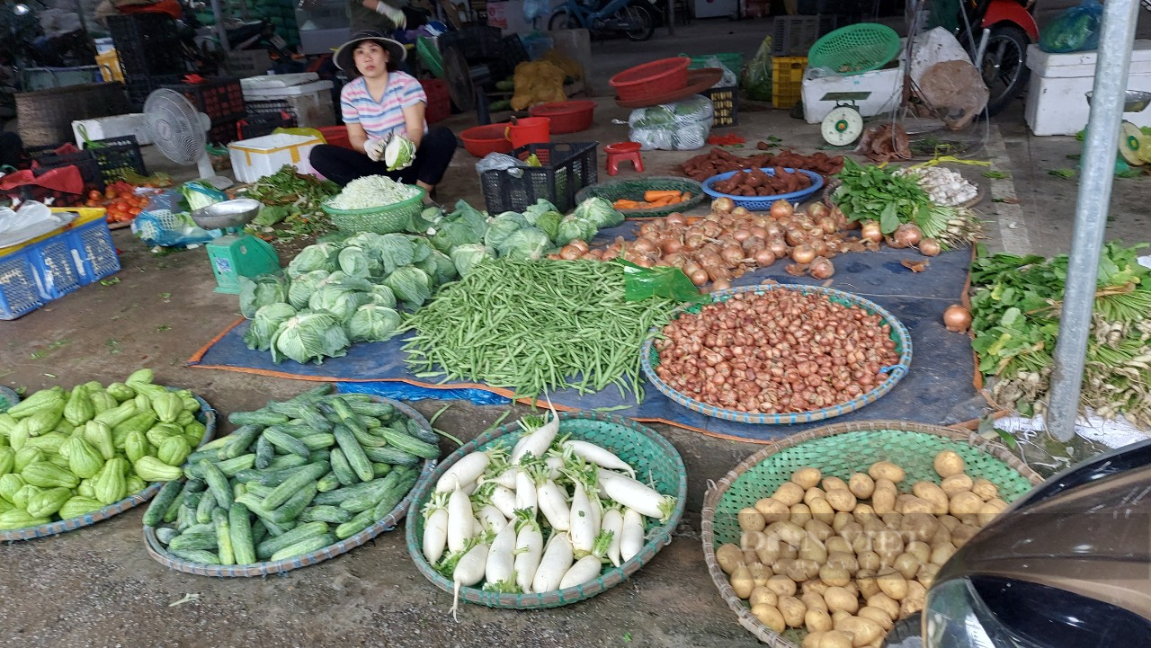 Hải Phòng giá cà chua tăng chóng mặt, bà nội trợ lắc đầu, lè lưỡi - Ảnh 3.