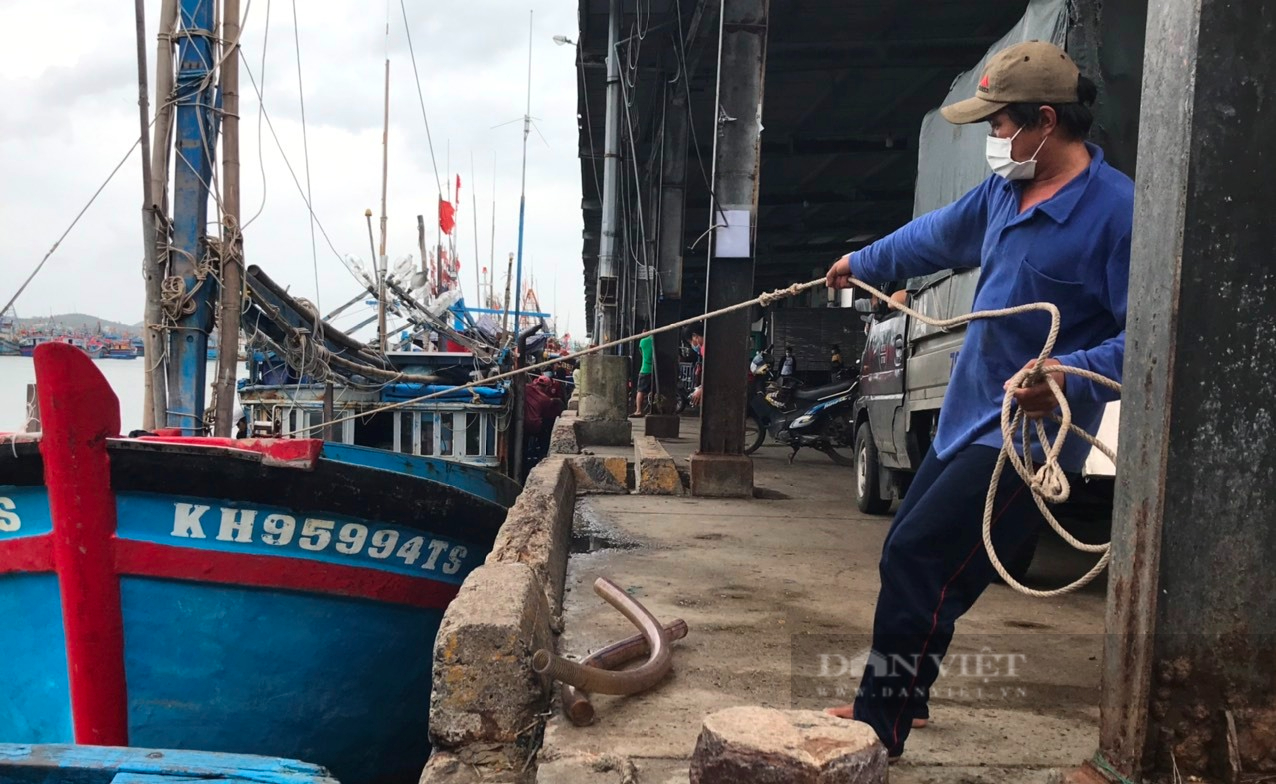 Bão Rai vào Biển Đông, dân Khánh Hòa hối hả bán hải sản chạy bão - Ảnh 4.