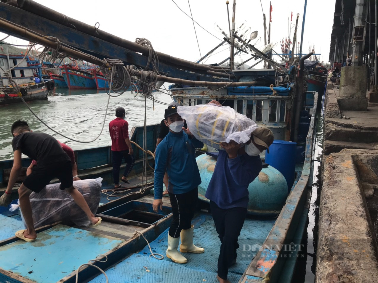 Bão Rai vào Biển Đông, dân Khánh Hòa hối hả bán hải sản chạy bão - Ảnh 3.