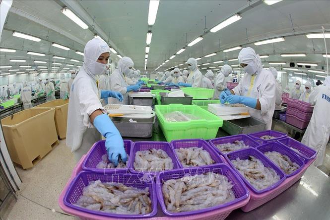 Việt Nam là thị trường cung cấp thủy sản lớn thứ 5 sang Nhật Bản - Ảnh 1.