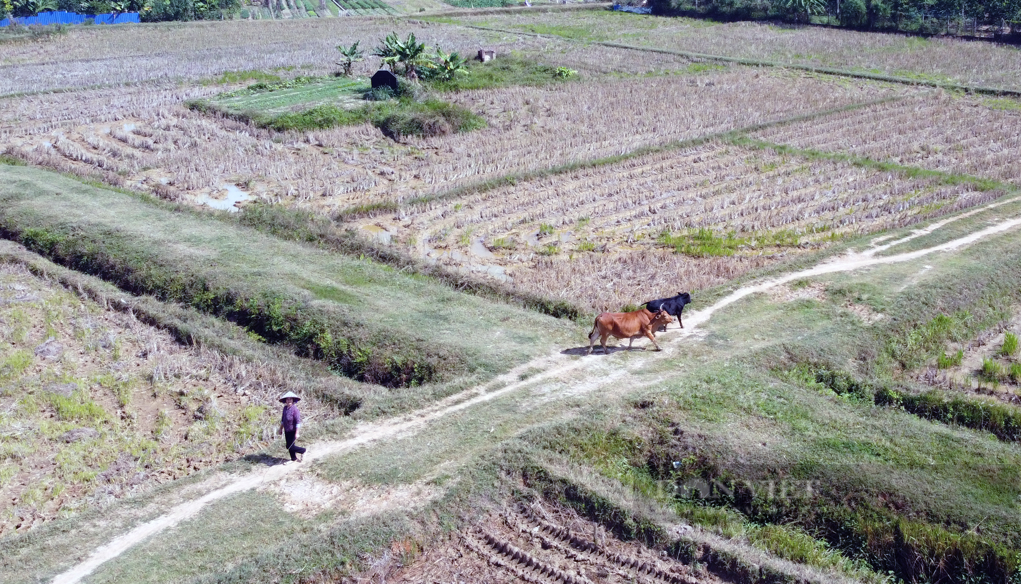 Toàn cảnh dự án trường đua ngựa Sóc Sơn, Hà Nội - Ảnh 3.