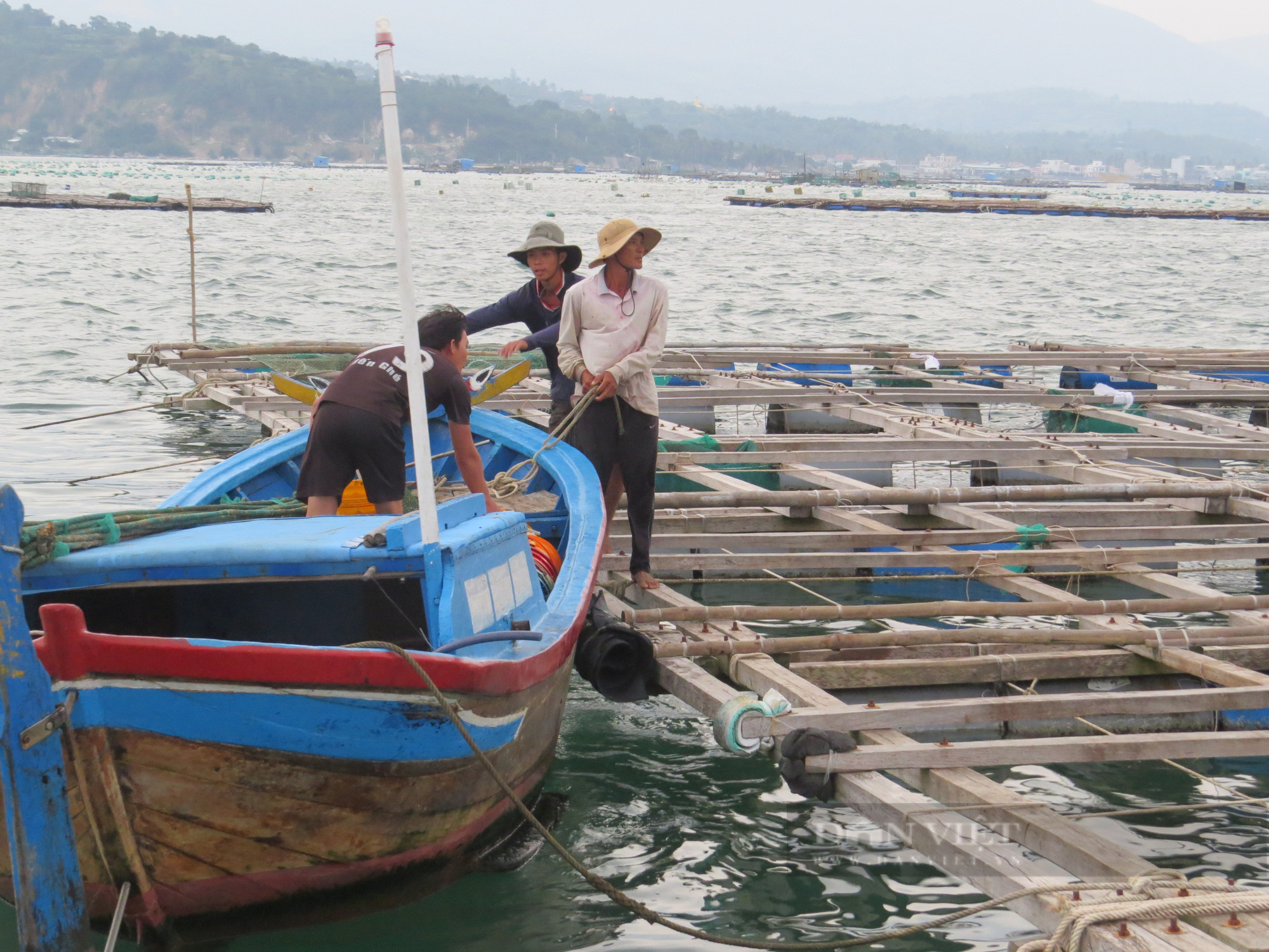 Bão số 9: Sơ tán gần 4.000 người nuôi trồng thủy sản trên biển Phú Yên  - Ảnh 1.