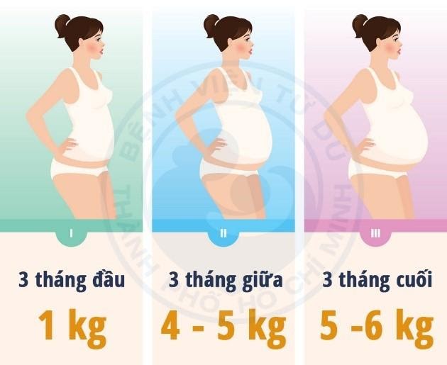 Phòng tránh đái tháo đường thai kỳ và những việc mẹ cần làm - Ảnh 2.