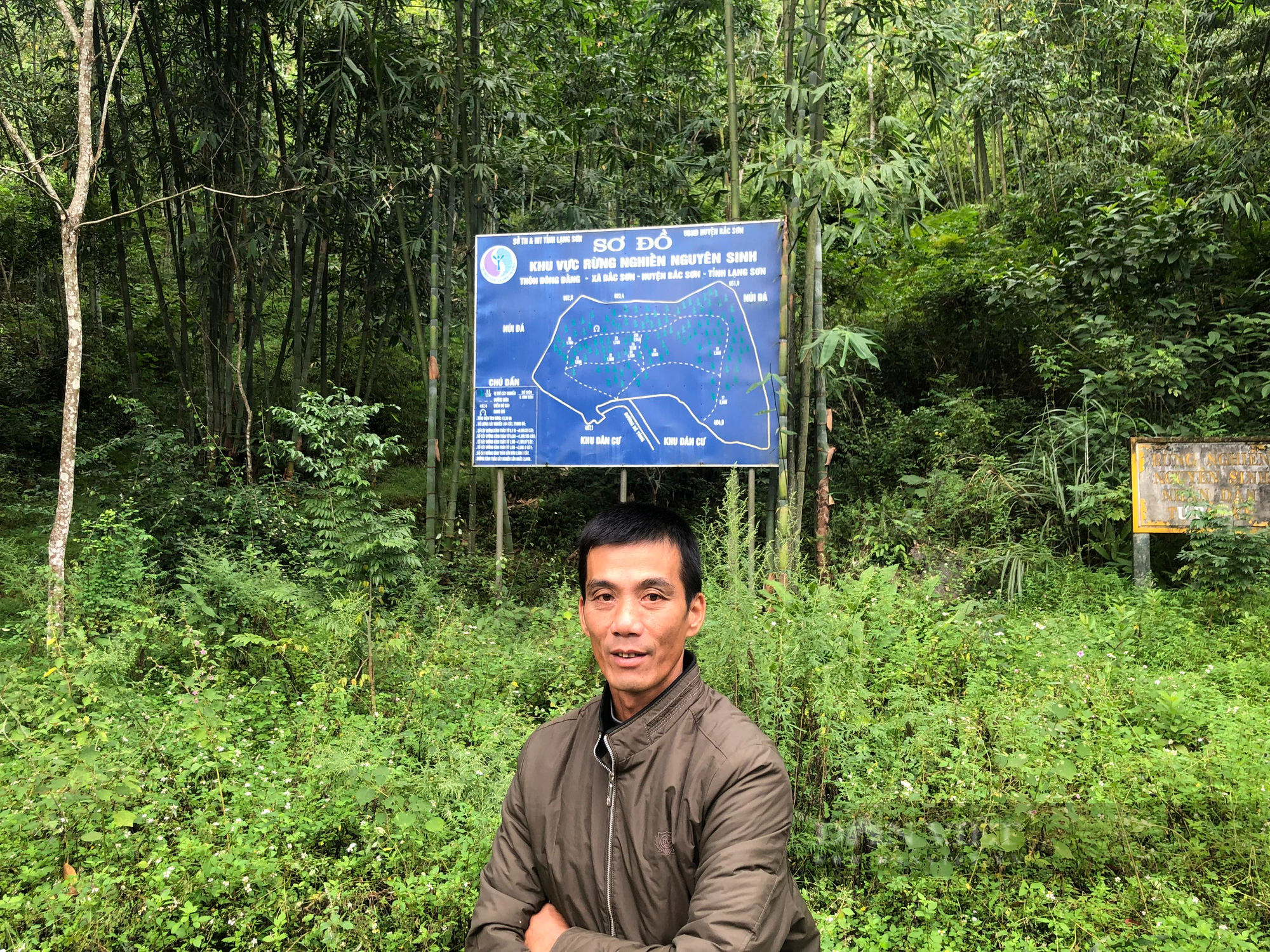 Làng Canh vàng của rừng ở Lạng Sơn  - Ảnh 1.