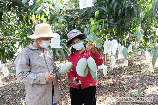 Con đường sáng của nông sản Việt Nam - Ảnh 1.