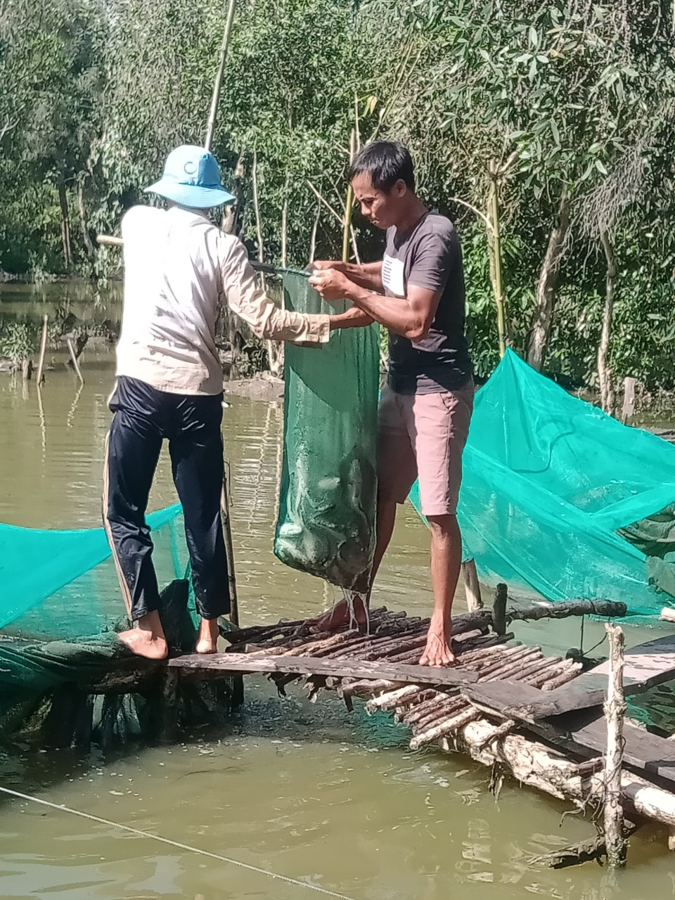 Tây Ninh: Nuôi loài cá ham mồi trong vèo lưới, nông dân bắt bán hàng tấn, lãi 500 triệu đồng - Ảnh 1.