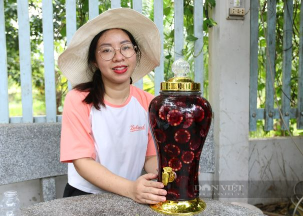 Nữ kỹ sư trẻ gác lại ước mơ học tập nước ngoài, về Ninh Thuận lên ngôi “Nữ hoàng” với giống bắp tím - Ảnh 8.