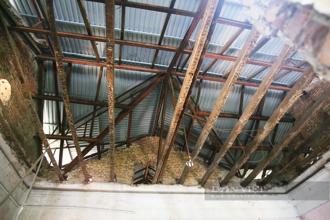 Biệt thự cổ gần 1.000 m2 bỏ hoang trên đất “kim cương” giữa Hà Nội, thành nơi nuôi gà chờ ngày được trùng tu - Ảnh 12.