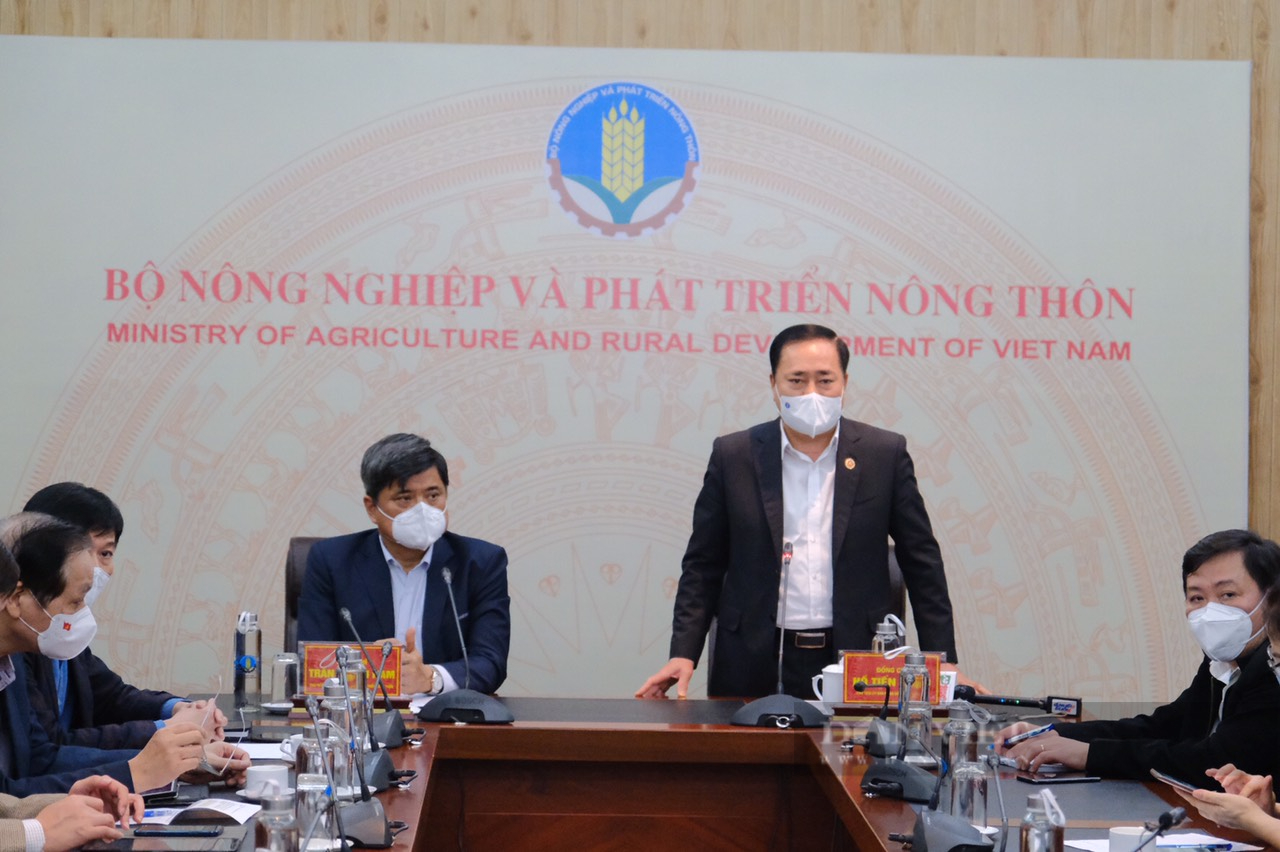 Chủ tịch tỉnh Lạng Sơn hé lộ nguyên nhân ùn ứ hàng hóa, đề xuất “nóng” với Bộ NN&PTNT - Ảnh 1.