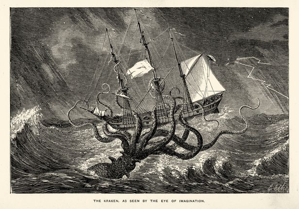 Phát hiện Kraken - quái vật biển khổng lồ trong thần thoại - gần Nam Cực - Ảnh 2.