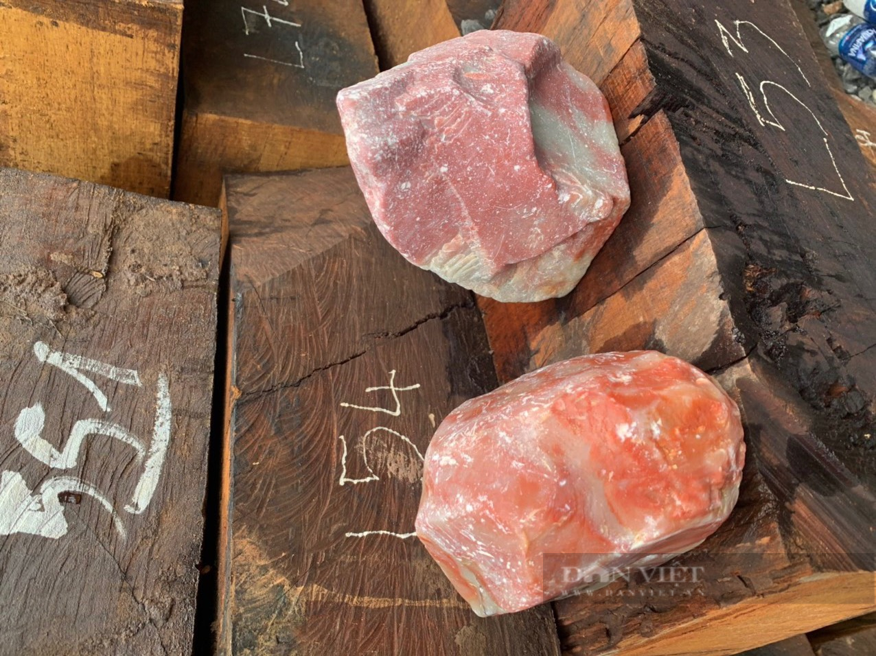 Khởi tố vụ án buôn lậu gỗ, đá ở Quảng Trị - Ảnh 2.