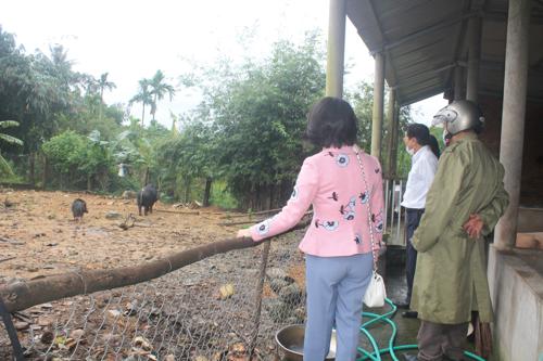 Quảng Ngãi: Đoàn kiểm tra Ban Chỉ đạo xây dựng giai cấp Nông dân tỉnh làm việc tại huyện Trà Bồng - Ảnh 4.