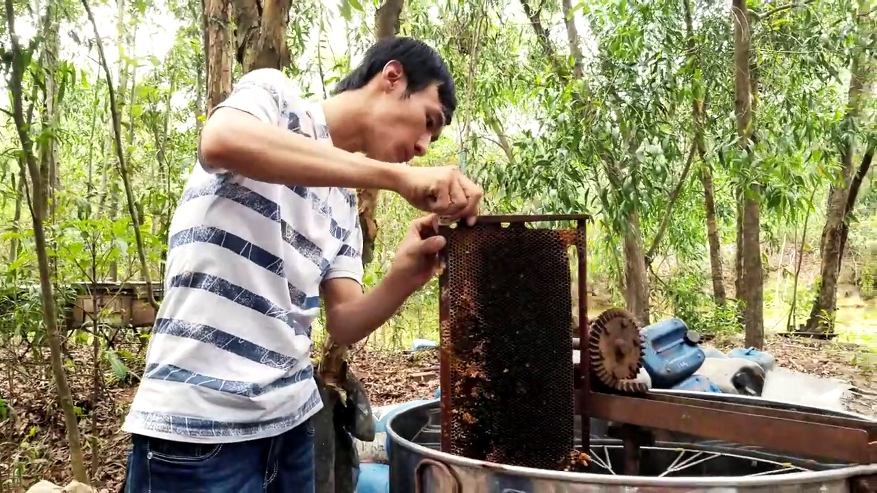 Long An: Phát triển sản phẩm OCOP gắn với xây dựng nông thôn mới  - Ảnh 3.