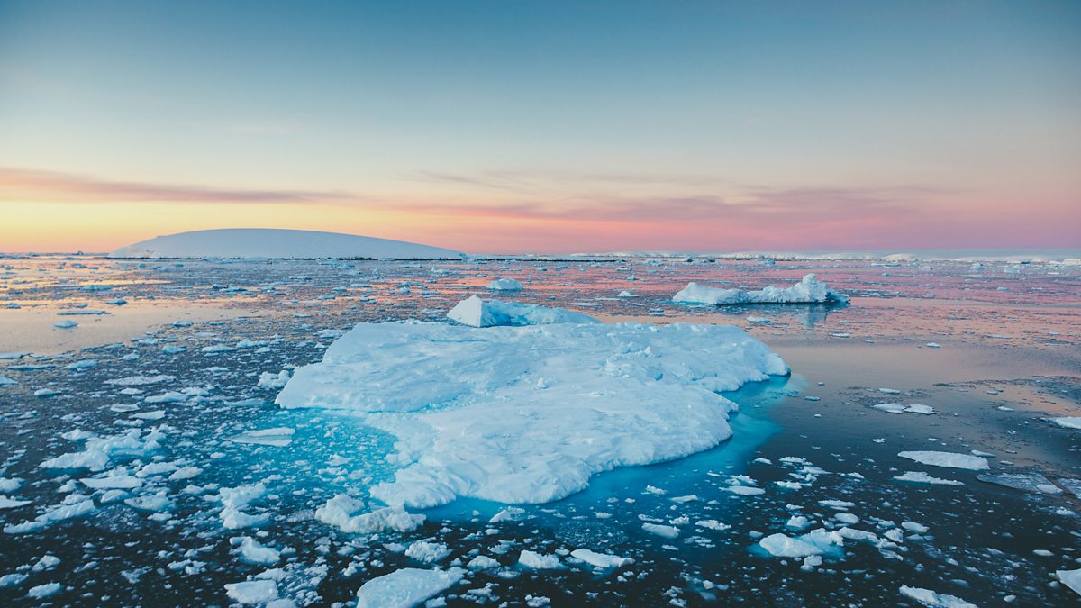 Bất ngờ phát hiện sự sống 200m bên dưới lớp băng ở Nam Cực - Ảnh 1.