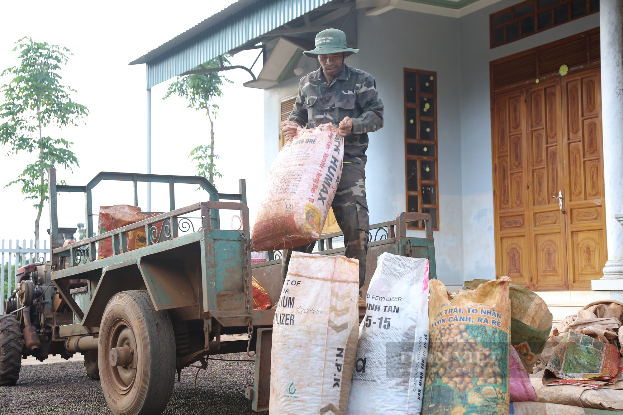 Giá cà phê hôm nay tương đương thời &quot;hoàng kim&quot; nhưng vì sao nông dân chỉ lời &quot;chút đỉnh&quot; - Ảnh 2.