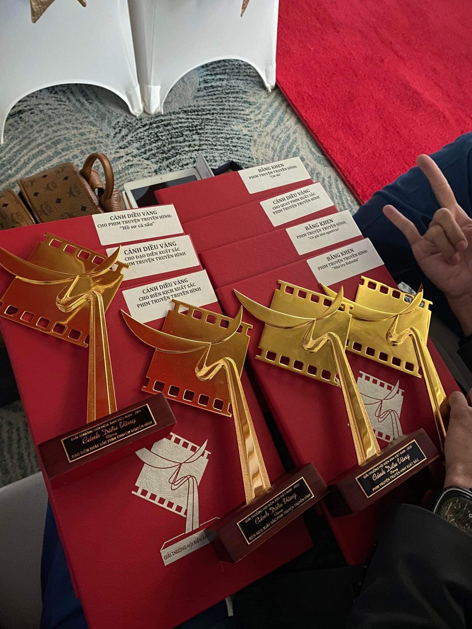 Mạnh Trường, Lương Thu Trang và Bố già xuất sắc đoạt giải Cánh diều vàng - Ảnh 4.
